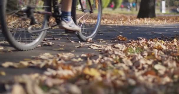 Крупный План Велосипедистов Велосипедной Дорожке Городском Парке Низкий Угол Замедленного — стоковое видео