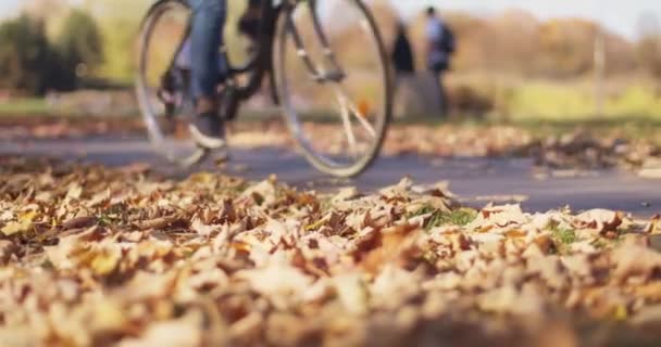 Közelkép Kerékpárosok Lovaglás Egy Kerékpárút Városi Parkban Alacsony Szögű Lassított — Stock videók