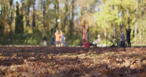 Emberek Röplabdáznak Őszi Városi Parkban Lehullott Száraz Levelek Földön Őszi — Stock videók