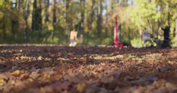 Gente Jugando Voleibol Parque Otoño Hojas Secas Caídas Suelo Temporada — Vídeos de Stock
