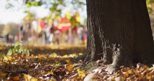 Crianças Brincam Parque Infantil Parque Cidade Folhas Secas Caídas Chão — Vídeo de Stock