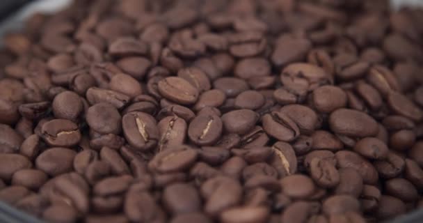 Kaffebönor Nära Håll Kvalitet Korn Rostat Kaffe Att Spilla Kvarnen — Stockvideo