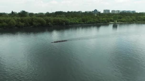 Légi Felvétel Rowing Csapat Nyári Edzéséről Sportolók Eveznek Egy Csónakban — Stock videók