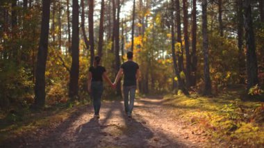 Çekici çift sonbahar ormanlarında tek başına yürüyor ve el ele tutuşuyor.