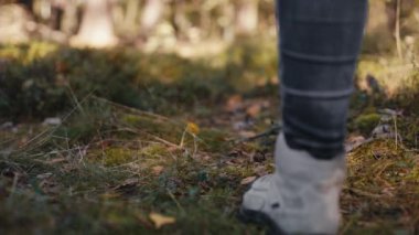 Yürüyen Seyahat Ayakkabıları Ormana Yakın