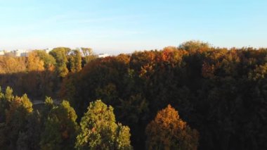 Günbatımında güzel turuncu ve sarı ağaçlarla Sonbahar Varşova şehrinin hava manzarası