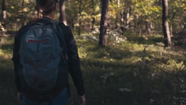 一个背着背包的年轻漂亮的姑娘正在穿过一片森林 — 图库视频影像