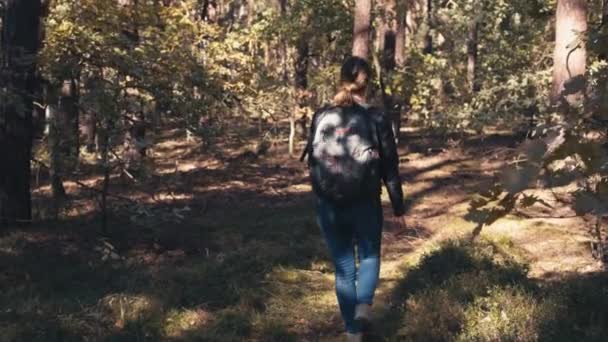 Una Joven Hermosa Chica Con Una Mochila Caminar Través Bosque — Vídeos de Stock