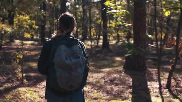 一个背着背包的年轻漂亮的姑娘正在穿过一片森林 — 图库视频影像