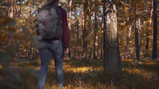 Młoda Piękna Dziewczyna Plecakiem Spaceruje Lesie — Wideo stockowe