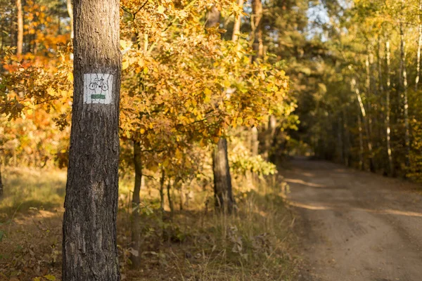 Sonbahar ormanlarında yol kenarında bisiklet yolu tabelası, güneşli bir gün ve altın yapraklar