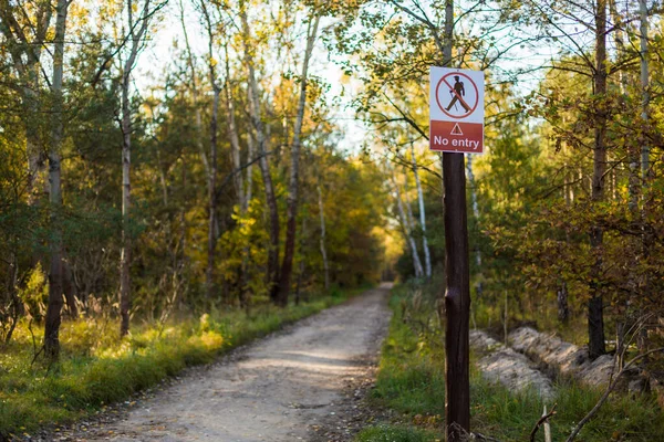Orman yolunun yakınında giriş işareti yok.