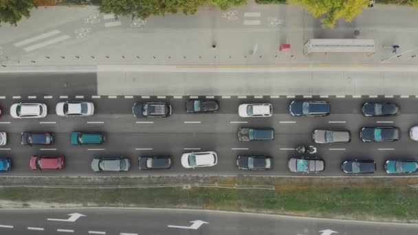 摩托车手试图避免交通堵塞 在汽车之间开车 空中射击 高峰时间 — 图库视频影像
