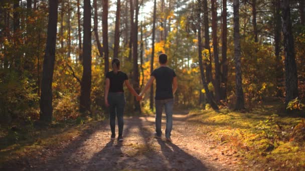 Atrakcyjna Para Samotnie Spacerująca Jesiennym Lesie Trzymająca Się Ręce — Wideo stockowe