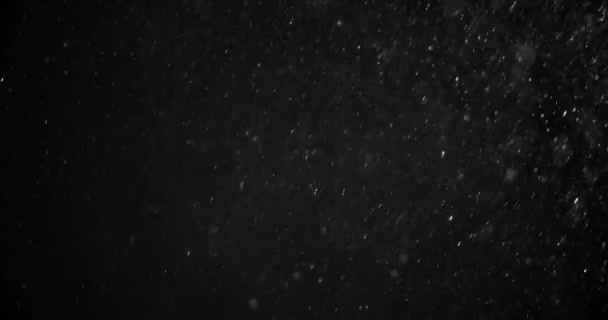 右側の光で黒い夜空に雪が降る デジタル構成 ポストプロダクション 孤立した雪の背景に最適です — ストック動画