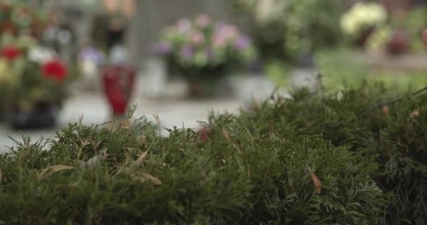 Vista Lápida Del Cementerio Con Velas Flores Enfoque Desenfoque Lápida — Vídeos de Stock