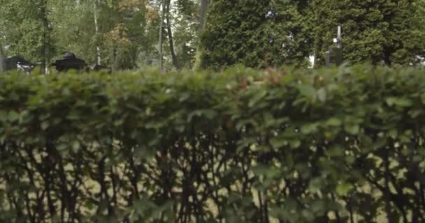 Kyrkogårdens Gravsten Avslöjar Utsikten Mörk Och Svart Marmor Gravsten Kyrkogård — Stockvideo