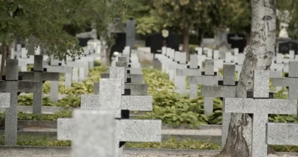 Vista Para Lápide Cemitério Lápide Mármore Branco Cemitério Militar Varsóvia — Vídeo de Stock