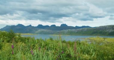 Göl ve dağlar manzaralı. Lofoten Adaları, Norveç fiyortlarının güzel doğası. Ön planda çalı alanı