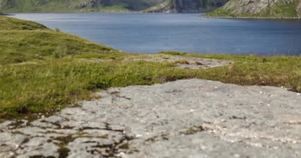 Lofoten Reine Skandinav Fiyortlarının Mavi Gölün Zaman Çizelgesi Mavi Gökyüzü — Stok video