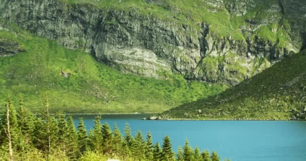 在阴天 湖山风景尽收眼底 树在前景中 罗浮敦群岛 挪威峡湾中美丽的自然 — 图库视频影像