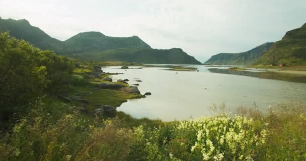 Lac Montagnes Paysage Vue Panoramique Par Temps Ensoleillé Longues Herbes — Video