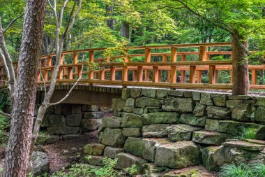 A beautiful footbridge, with wooden handrails and stone walkway, crosses a stream under the trees in the woods in Arkansas near Hot Springs. clipart