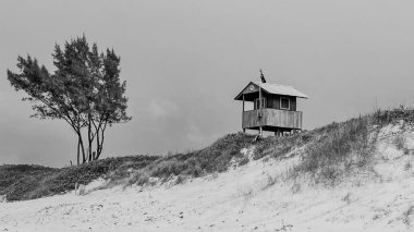 Kuzey denizindeki juist adası.