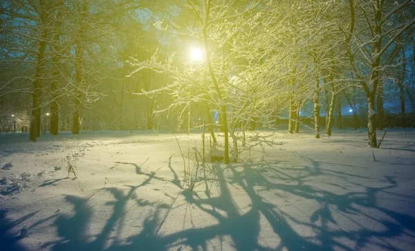 Hiver Snowbound Scène Parc Nocturne Lumière Lanterne Scène Saisonnière Ville — Photo
