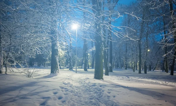ランタンに照らされた冬の雪に覆われた夜の公園の風景 — ストック写真