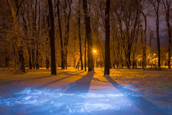 Inverno Nevoso Notte Parco Scena Alla Luce Della Lanterna Città — Foto Stock