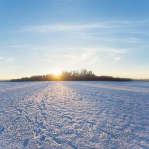 Zamrzlé Jezero Sněhu Ledu Světle Večerního Slunce Zimní Západ Slunce — Stock fotografie