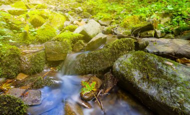 Dağ kanyonundaki taşların üzerinden akan küçük dere.