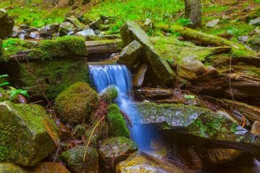 Dağ kanyonundaki taşların üzerinden akan küçük dere.