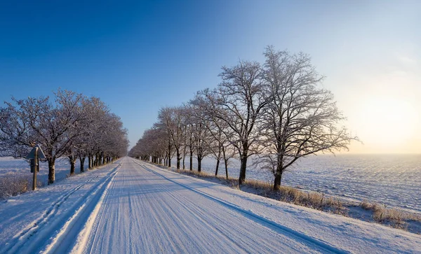Droga Śniegu Przez Park Wczesnym Rankiem Zimowy Zachód Słońca Wśród — Zdjęcie stockowe