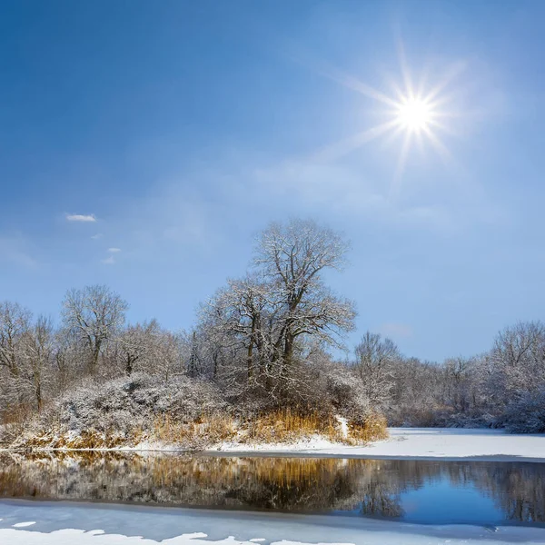 Klidná Zamrzlá Řeka Zasněženým Lesem Pobřeží Zimě Slunečný Den Sezónní — Stock fotografie