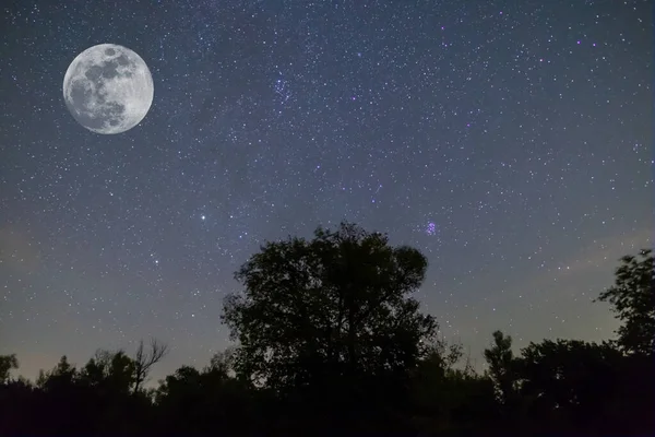 Pleine Lune Sur Ciel Étoilé Dessus Silhouette Forêt Nuit Scène — Photo