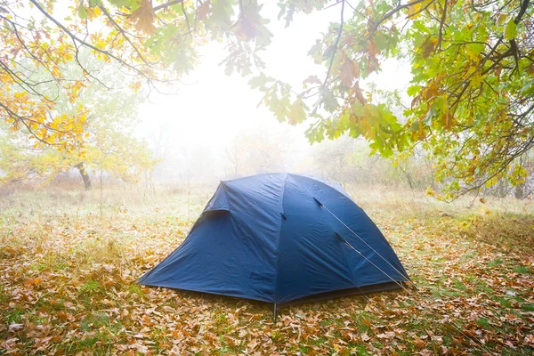 在柔和的阳光下 特写的深蓝色旅游帐篷停在森林的沼泽地上 — 图库照片
