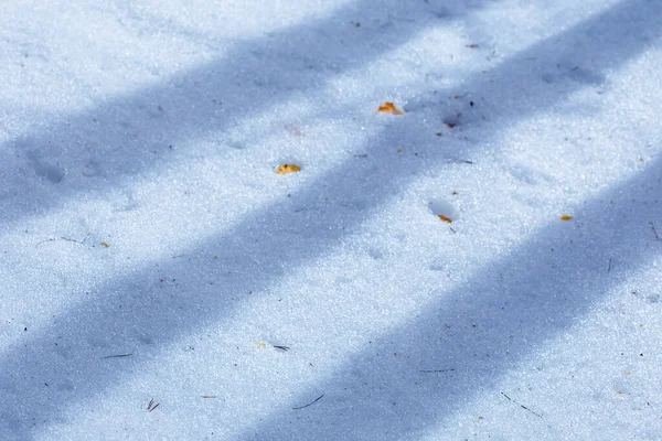 特写白雪 有很长的阴影 冬季自然背景 — 图库照片