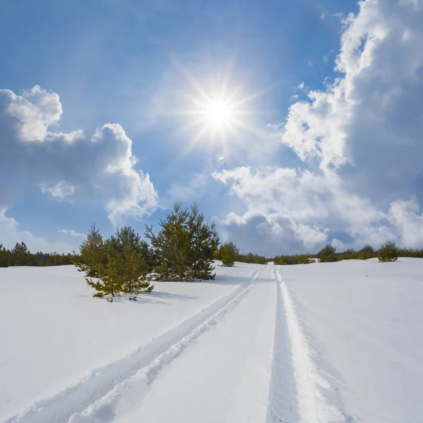 Winter Snowbound Plain Bright Sunny Day — Stock Photo, Image