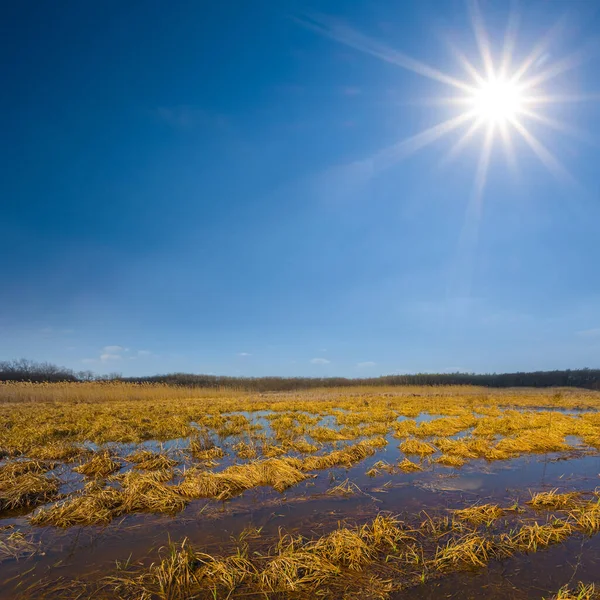 Überflutete Prärie Sonnigen Tagen Frühling Freien Hintergrund — Stockfoto
