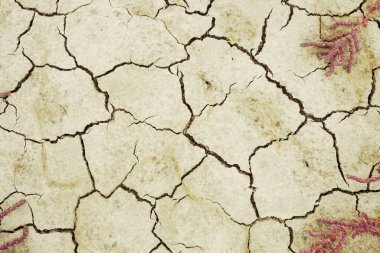 Yakın plan kurumuş kırık tuz toprağı, doğal afet geçmişi.