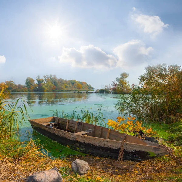 Nahaufnahme Kleines Ruderboot Der Nähe Einer Flussküste Sonnigen Herbsttagen Saisonales — Stockfoto