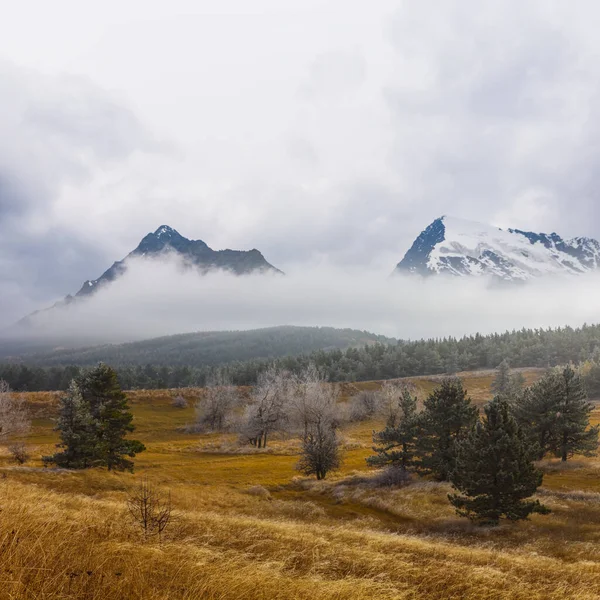 Bergtal Mit Grasland Dichtem Nebel Und Wolken — Stockfoto