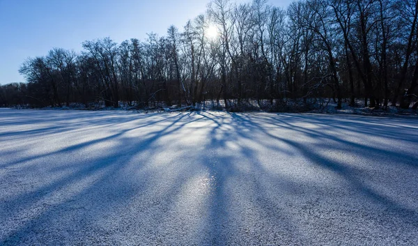 Замерзшее Озеро Лесом Берегу Свете Низкого Зимнего Солнца Зимний Лес — стоковое фото