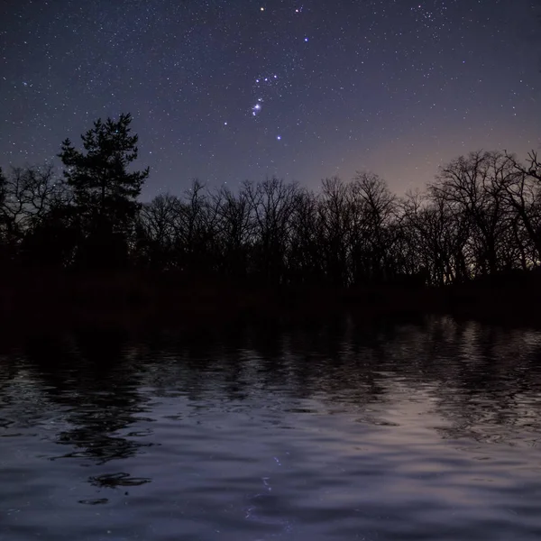 Orion constellation rising above forest reflected in calm water