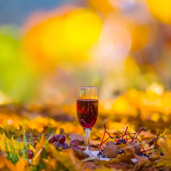 Closeup Wine Glass Forest Glade Fruit Golden Dry Leaves Autumn — Stock Photo, Image