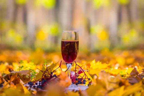 Closeup Wine Glass Forest Glade Fruit Golden Dry Leaves Autumn — Stock Photo, Image