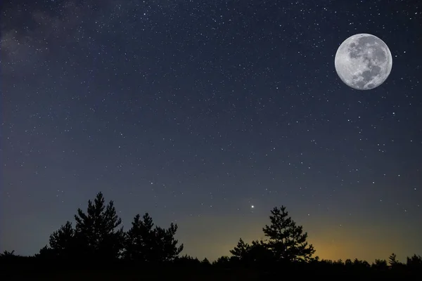 Brillante Pleine Lune Dessus Silhouette Forêt Nuit — Photo