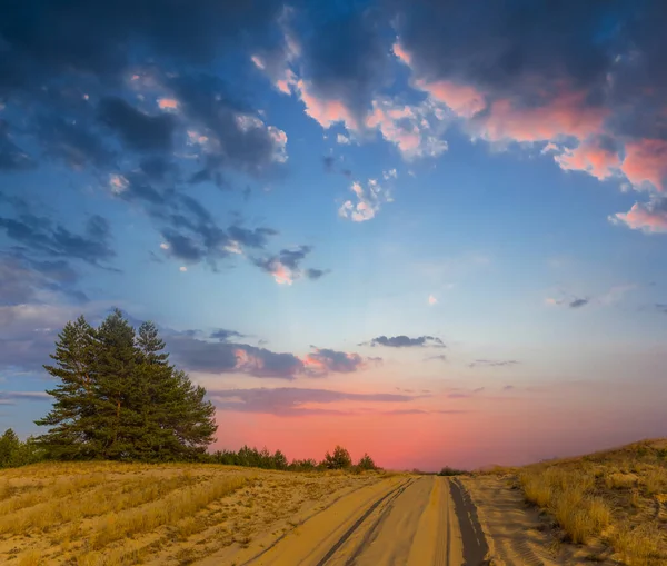 Samotna Sosna Pobliżu Drogi Piaszczystej Pustyni Zmierzchu Piękny Wieczór Naturalna — Zdjęcie stockowe